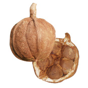 Huile Végétale Touloucouna Aroma-Zone