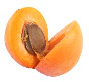 Abricot BIO