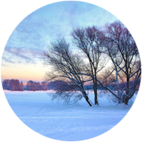 Aromathérapie de l'hiver