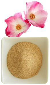 coupelle de poudre de Rose musquée BIO et la fleur