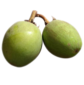 Beurre de Karité BIO