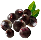 Açai BIO Aroma-Zone 