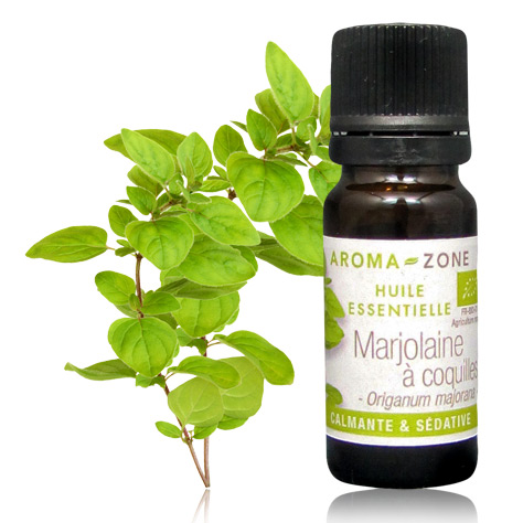 HE Marjolaine à coquilles