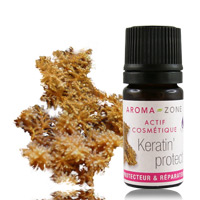 Huile végétale Germes de blé