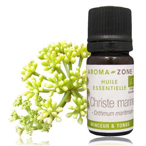 Huile vÃ©gÃ©tale Avocat BIO