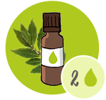 Huile essentielle Girofle clou BIO