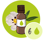 Huile essentielle Ciste BIO