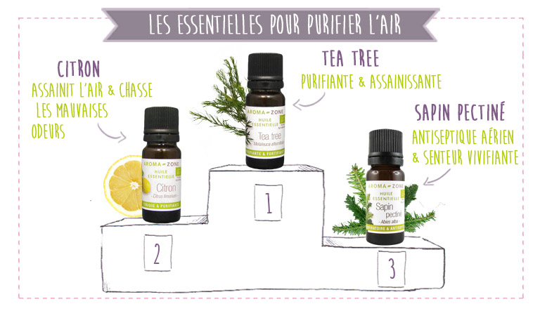 top des huiles essentielles contre la pollution