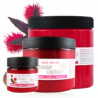 masque cheveux bio