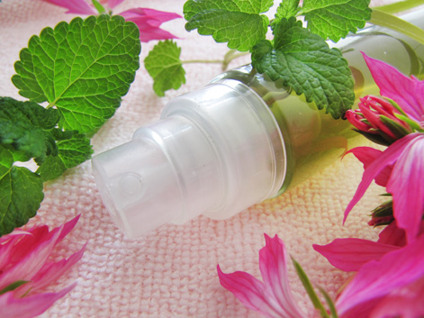 Infusion ayurvédique aux plantes aromatiques purifiantes