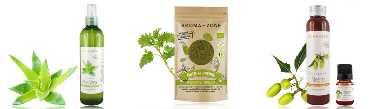 Le rituel de Daphné Narcy : : Soin détoxifiant pour le cuir chevelu