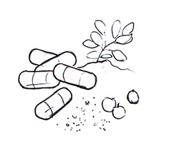 Complétez votre alimentation par des gélules minceur pour combattre la cellulite et affiner sa silhouette