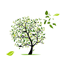  l'énergie du printemps