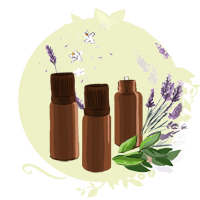 Dossier : Diffuser les huiles essentielles