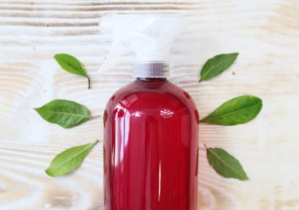 Recette Spray détergeant anti-calcaire et anti-tartre à l’Eucalyptus