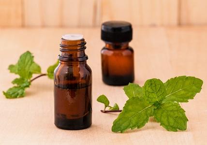 synergie renforcer le terrain digestif