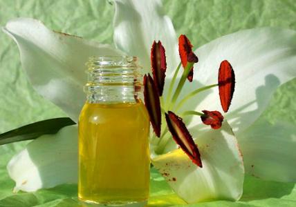 Recette Huile Lumière au Lys Blanc