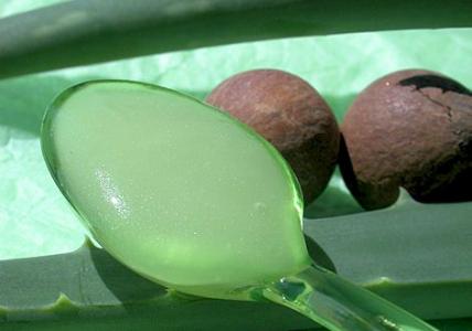 Recette Gel circulatoire pour jambes légères Calophylle et Menthe 