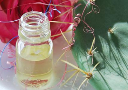 Recette Elixir de beauté jeunesse à la Rose et à l'Iris 