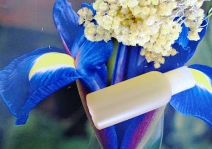 Recette Huile parfumée "elixir de jouvence" pour Elle - Iris & Mimosa