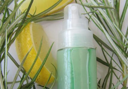 Recette Lotion aux extraits de Lédon & Tea tree purifiants