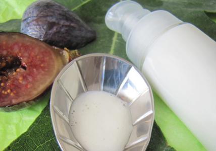 Recette Crème végétale "destress" à la Figue