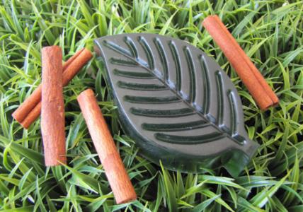 Recette Savon anti-odeur de cuisine Feuilles de Cannelle & Figuier