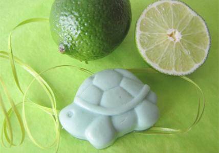 Recette Mon coffre à jouets en savons : tortue