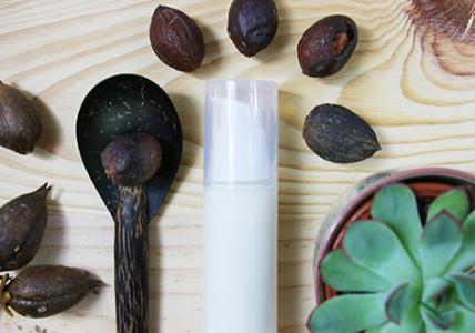 Recette Crème Trésor du désert