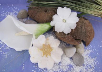 Recette Shampooing solide Fleurs des îles