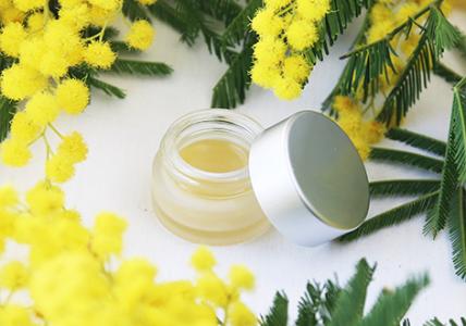 Recette Concrète Mimosa