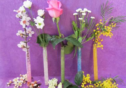 Recette Soliflore coloré