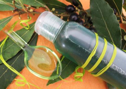 Shampooing au Laurier purifiant pour cheveux gras