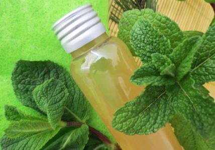 Recette Lotion à la Prêle désaltérante et jeunesse pour peaux grasses 