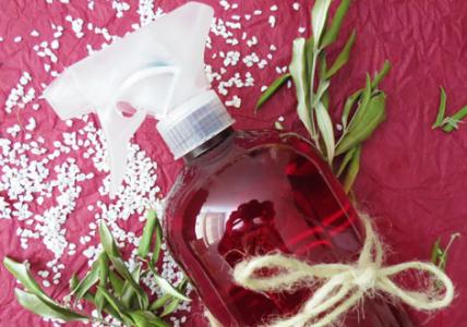 Recette Spray assainissant pour les plantes
