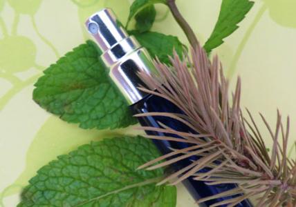 Recette Spray purifiant fraîcheur pour la voiture 