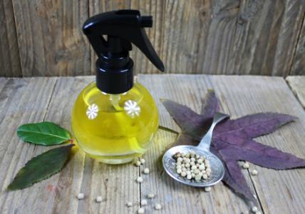 Recette Lotion "Stop Chute" à la Moutarde et au Ricin tonifiants