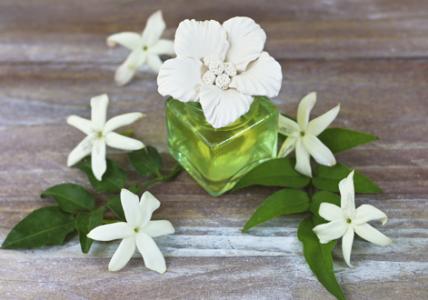 Recette Composition à diffuser Sous les Jasmins