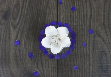 Recette Composition à diffuser Violette & Tubéreuse