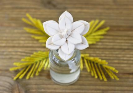 Recette Composition à diffuser Fleur de Mimosa