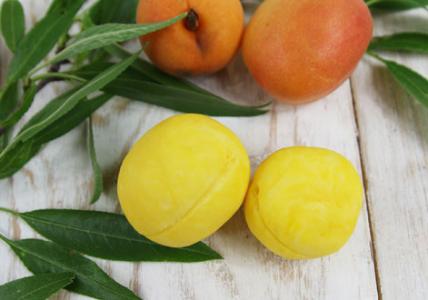 Recette Pâte à modeler lavante à l'Abricot