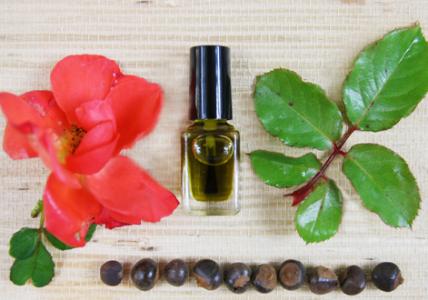 Recette Huile nutri’cuticules secrets des Incas