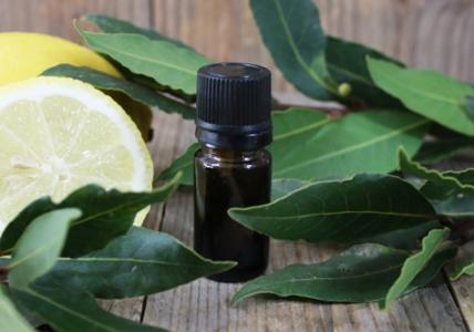 Recette Barrière fortifiante en voie orale