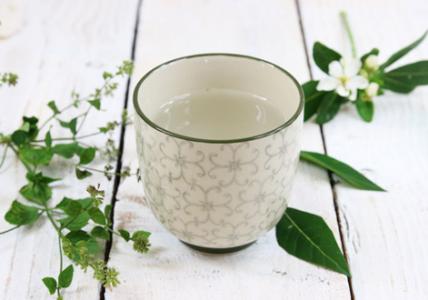 Bain de bouche naturel 