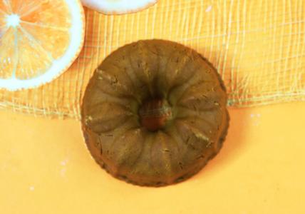 Recette Shampooing solide Secret d'Ayurvéda