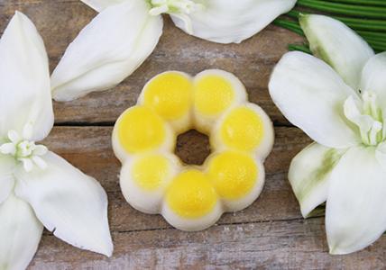 Recette Fleur de Savon Frangipanier