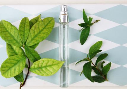 Recette Spray hydroalcoolique pour les mains