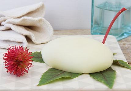 Recette maison démaquillant solide JOJOBA & Ricin 
