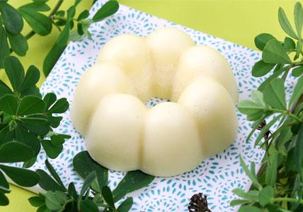 Recette Shampooing solide à l'huile de Moringa