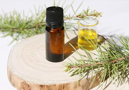 Recette Composition à diffuser "balade en forêt"